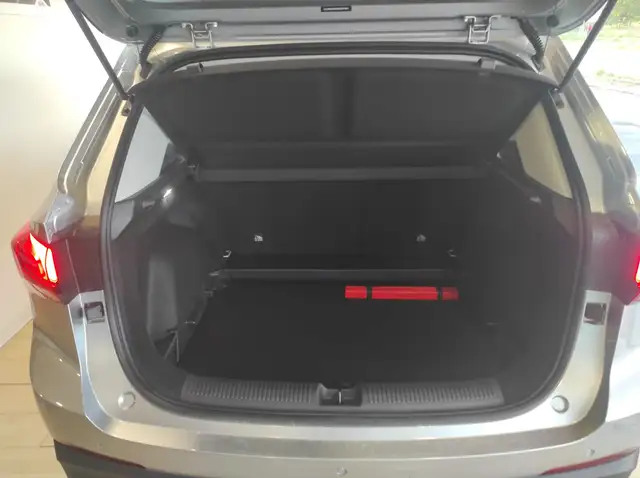 MG ZS view 6