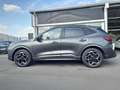 Ford Kuga Plug-In Hybrid ST-Line X, Vollausstattung!! Gris - thumbnail 2