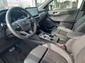 Ford Kuga Plug-In Hybrid ST-Line X, Vollausstattung!! Gris - thumbnail 9