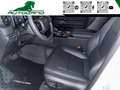Toyota Land Cruiser 2.8d Comfort Plus 204Cv Grigio - thumbnail 15
