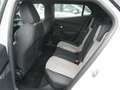 Peugeot e-2008 50kWh GT Pack *TOPAUSSTATTUNG* Weiß - thumbnail 13