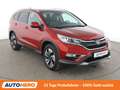 Honda CR-V 1.6 DTEC Executive 4WD Aut.*NAVI*CAM*BiXENON*SHZ* Rot - thumbnail 8