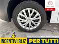 Fiat Doblo Trasporto disabili 4 + 1 con Rampa - thumbnail 10