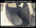 Renault Clio V 1.0 TCe Experience Automatik Navi/LED/ Experienc Bianco - thumbnail 15
