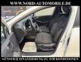 Renault Clio V 1.0 TCe Experience Automatik Navi/LED/ Experienc Bianco - thumbnail 13