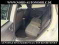Renault Clio V 1.0 TCe Experience Automatik Navi/LED/ Experienc Bianco - thumbnail 14