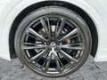 Audi SQ8 TFSI QU MATRIX+NAVI+HuD+B&O+AIR+AHK+23"+360° Blanco - thumbnail 8