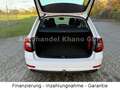 Skoda Octavia Combi Tour AUTOMATIK-NAVI-AHK Weiß - thumbnail 9