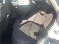 Ford Puma Titanium 1,0l Hybrid *NAVI*SYNC4*Winter-Pak Grau - thumbnail 13