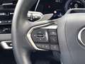 Lexus RX 450h 450h+ Plug-in Hybrid 309pk AWD Luxury Line | Panor Grau - thumbnail 34