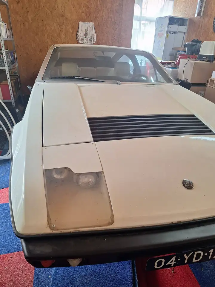 Lotus Met werk, foto 7
