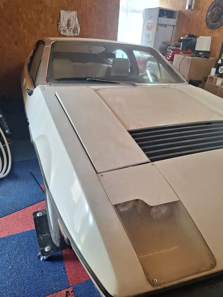 Lotus Met werk, foto 8
