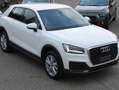 Audi Q2 Q2 I 2017 1.6 tdi Design s-tronic Bianco - thumbnail 1