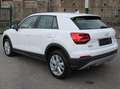 Audi Q2 Q2 I 2017 1.6 tdi Design s-tronic Bianco - thumbnail 6