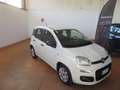 Fiat New Panda 1.3 MJET EURO 6 N1 4 POSTI Bianco - thumbnail 2