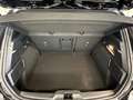 Ford Focus ST-Line X B&O 18'' LED ACC Kamera Ergo NEUES MODEL Schwarz - thumbnail 8