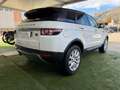 Land Rover Range Rover Evoque Evoque 5p 2.2 td4 Dynamic 150cv auto 9m Bianco - thumbnail 4