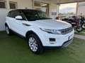Land Rover Range Rover Evoque Evoque 5p 2.2 td4 Dynamic 150cv auto 9m Bianco - thumbnail 3