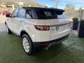 Land Rover Range Rover Evoque Evoque 5p 2.2 td4 Dynamic 150cv auto 9m Bianco - thumbnail 6