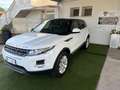 Land Rover Range Rover Evoque Evoque 5p 2.2 td4 Dynamic 150cv auto 9m Bianco - thumbnail 1