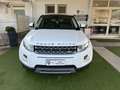 Land Rover Range Rover Evoque Evoque 5p 2.2 td4 Dynamic 150cv auto 9m Bianco - thumbnail 2