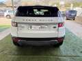 Land Rover Range Rover Evoque Evoque 5p 2.2 td4 Dynamic 150cv auto 9m Bianco - thumbnail 5