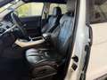 Land Rover Range Rover Evoque Evoque 5p 2.2 td4 Dynamic 150cv auto 9m Bianco - thumbnail 10