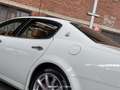 Maserati Quattroporte 4.2 V8 Executive GT Blanc - thumbnail 20