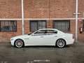 Maserati Quattroporte 4.2 V8 Executive GT Blanc - thumbnail 21