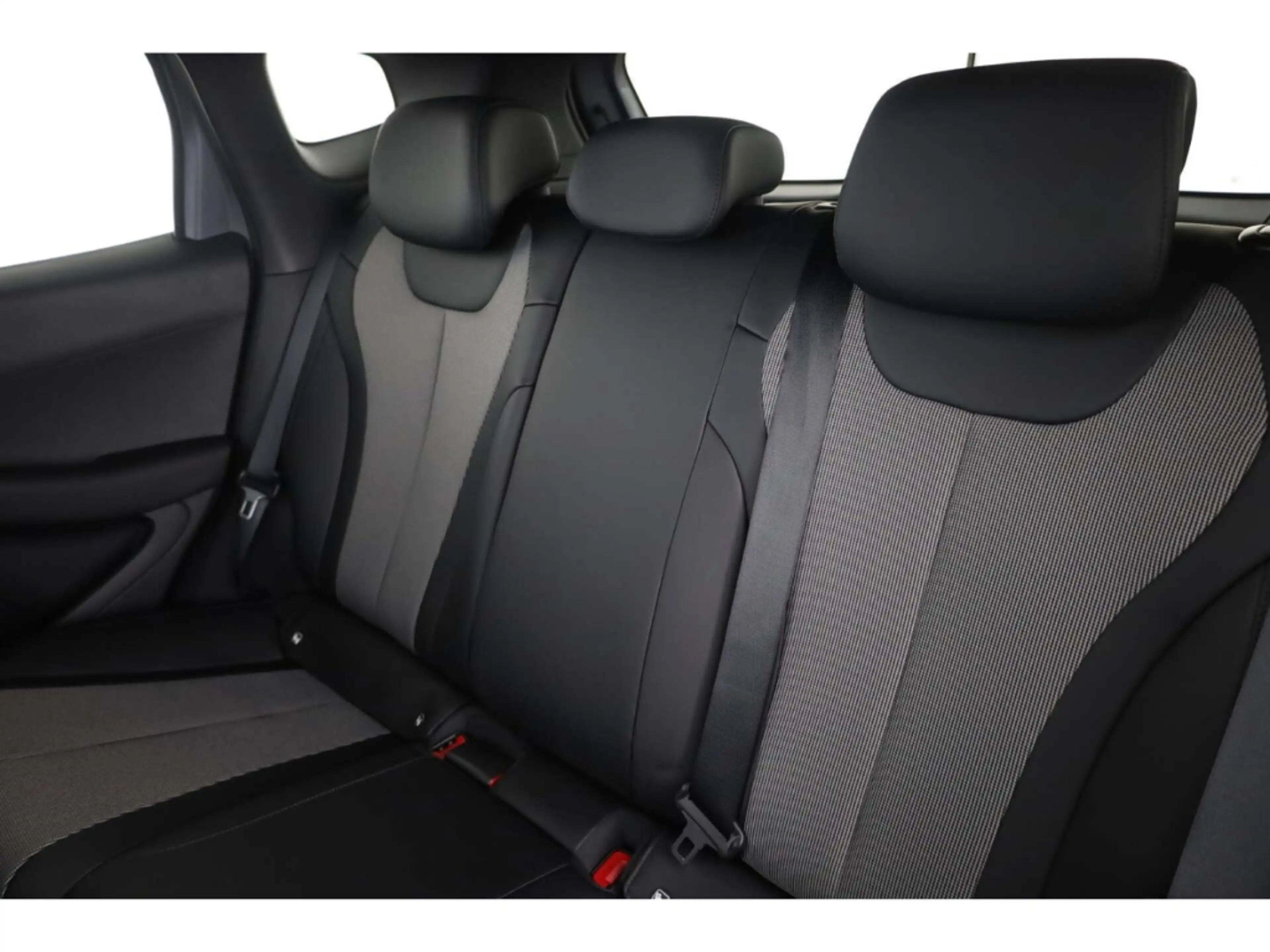 BYD Dolphin G DM-i Comfort — photo 12