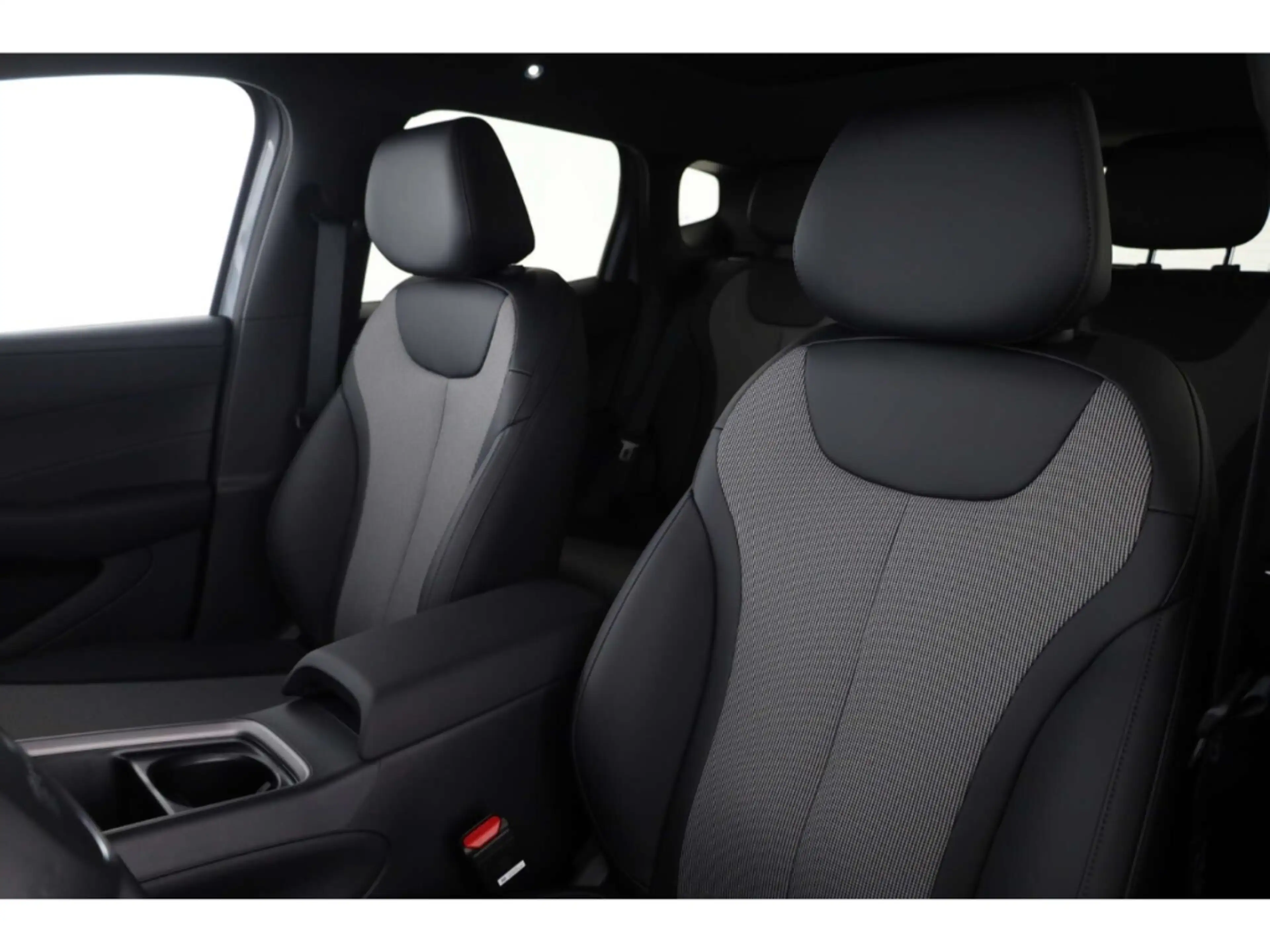 BYD Dolphin G DM-i Comfort — photo 11
