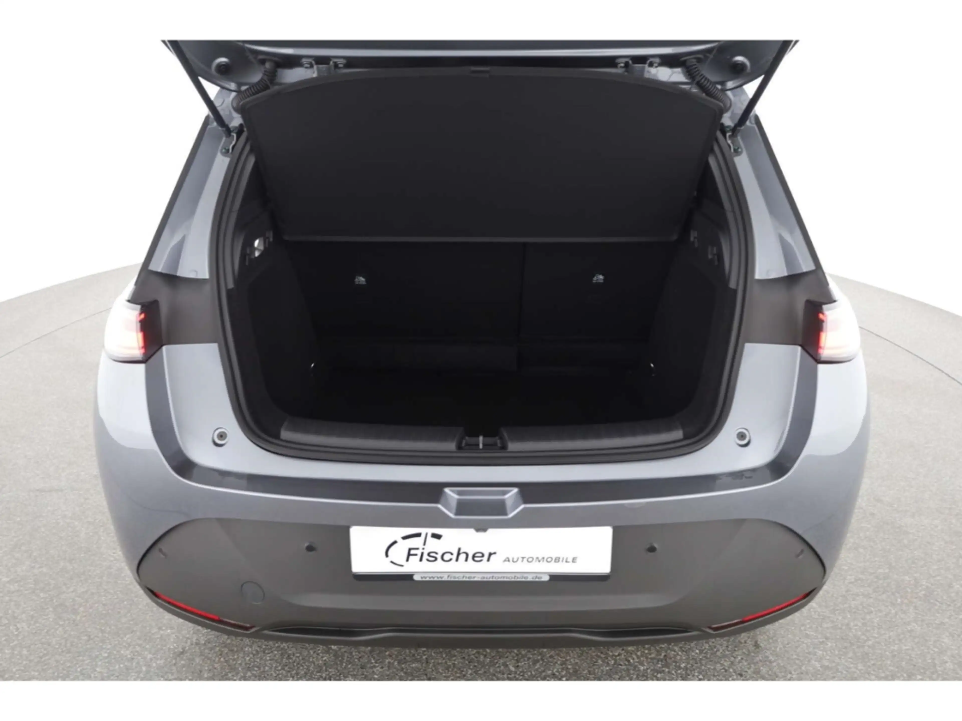 BYD Dolphin G DM-i Comfort — photo 13