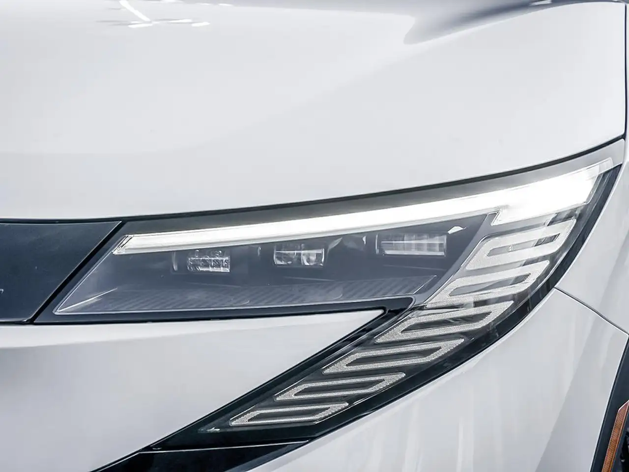 Nissan Leaf снимка Nissan Leaf