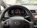 Kia Rio Edition 7 Weiß - thumbnail 13