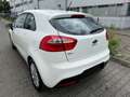 Kia Rio Edition 7 Weiß - thumbnail 5