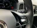 Skoda Karoq Tour 1.5 TSI Navi LED ACC Kamera Matrix-LED El. He Weiß - thumbnail 23