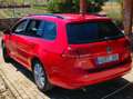 Volkswagen Golf Variant Golf Variant 1.6TDI CR  Bluemotion 110 Bluemotion Rojo - thumbnail 8