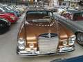 Mercedes-Benz 250 SE coupé 6 cilinder Bronz - thumbnail 6