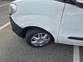 Fiat Doblo Doblo  1.3 Multijet Weiß - thumbnail 4