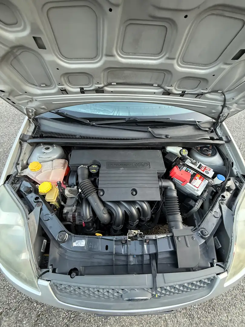 Ford Fiesta Fiesta 5p 1.2 Plus 5p - 1