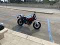 Ducati Monster 796 plus Wit - thumbnail 2