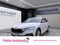 Skoda Octavia Combi 2.0 TDI STYLE NAVI AHK KLIMA PDC Weiß - thumbnail 1