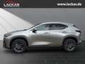 Lexus NX 350h h 243 PS ** 15 Jahre Gar antie ** Sitzklima Connect - Paket 360°Kamera Argent - thumbnail 2
