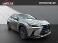 Lexus NX 350h h 243 PS ** 15 Jahre Gar antie ** Sitzklima Connect - Paket 360°Kamera Argent - thumbnail 6
