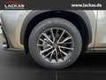 Lexus NX 350h h 243 PS ** 15 Jahre Gar antie ** Sitzklima Connect - Paket 360°Kamera Argent - thumbnail 20