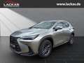 Lexus NX 350h h 243 PS ** 15 Jahre Gar antie ** Sitzklima Connect - Paket 360°Kamera Argent - thumbnail 1