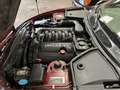 Jaguar XK8 4.0 V8 Convertible Rot - thumbnail 13