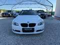 BMW 335 i cat Cabrio Futura Bianco - thumbnail 2