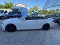 BMW 335 i cat Cabrio Futura Bianco - thumbnail 4