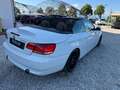 BMW 335 i cat Cabrio Futura Bianco - thumbnail 8